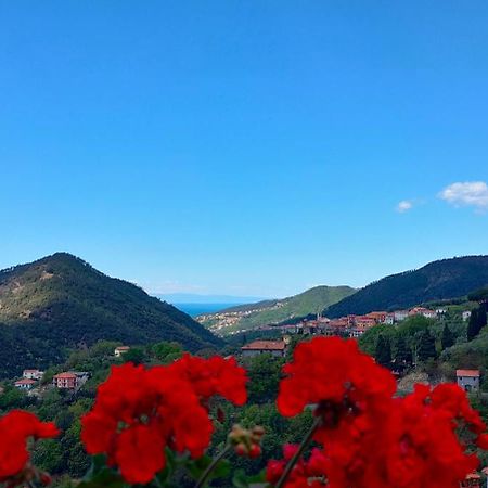 Camera Tra Le Cinque Terre, Camogli E Portofino. Vista Valle E Scorcio Mare All'Orizzonte Castiglione Chiavarese Buitenkant foto