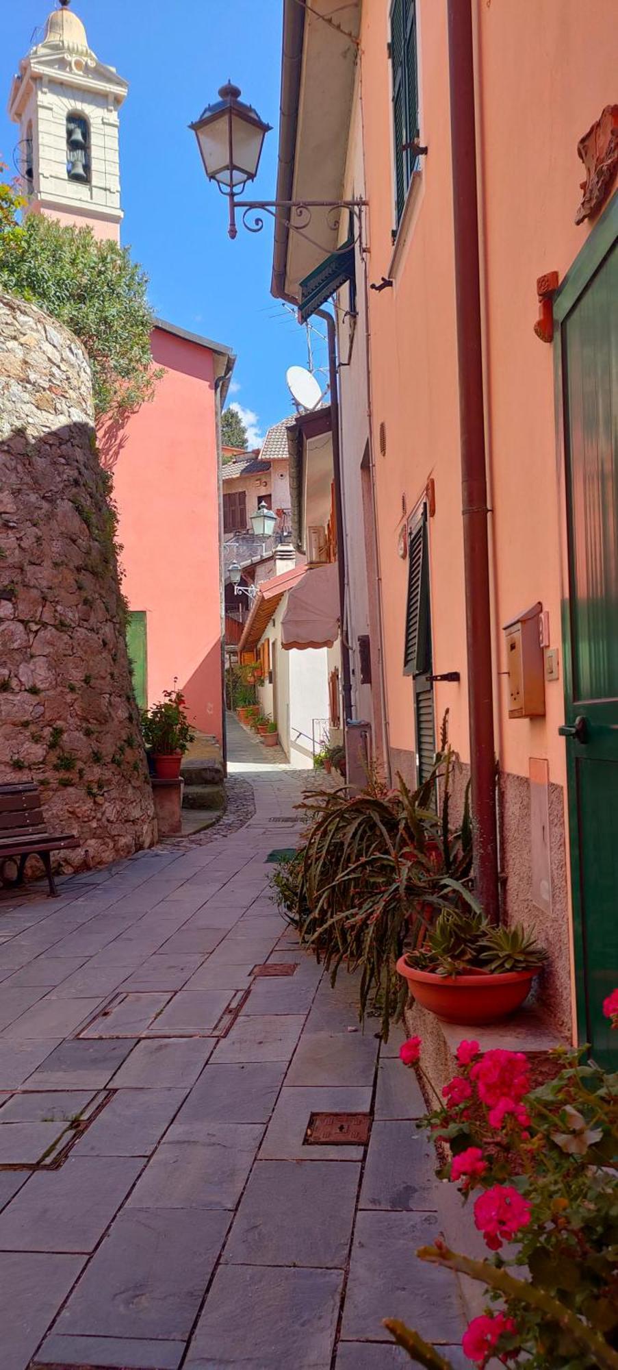Camera Tra Le Cinque Terre, Camogli E Portofino. Vista Valle E Scorcio Mare All'Orizzonte Castiglione Chiavarese Buitenkant foto