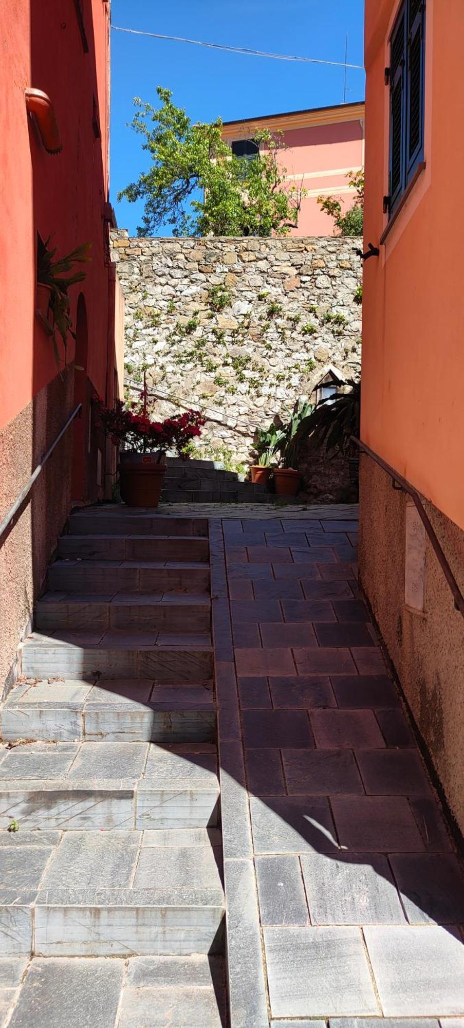 Camera Tra Le Cinque Terre, Camogli E Portofino. Vista Valle E Scorcio Mare All'Orizzonte Castiglione Chiavarese Buitenkant foto