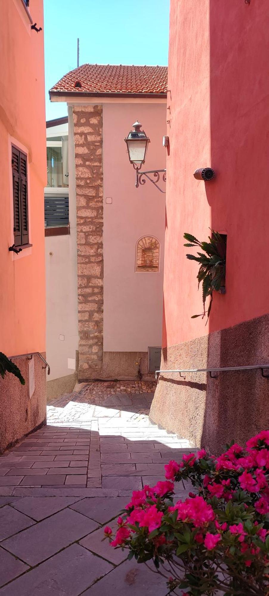 Camera Tra Le Cinque Terre, Camogli E Portofino. Vista Valle E Scorcio Mare All'Orizzonte Castiglione Chiavarese Buitenkant foto