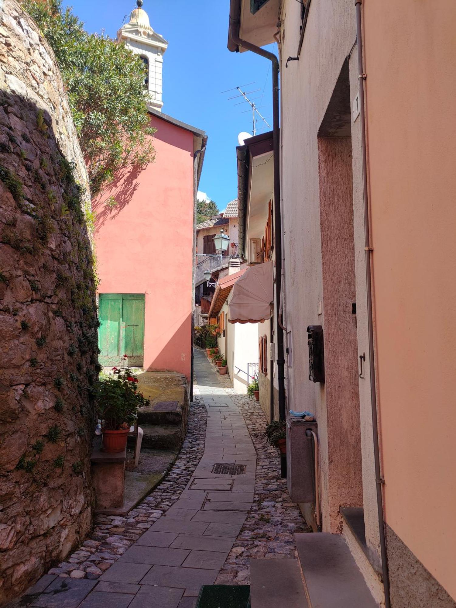 Camera Tra Le Cinque Terre, Camogli E Portofino. Vista Valle E Scorcio Mare All'Orizzonte Castiglione Chiavarese Buitenkant foto