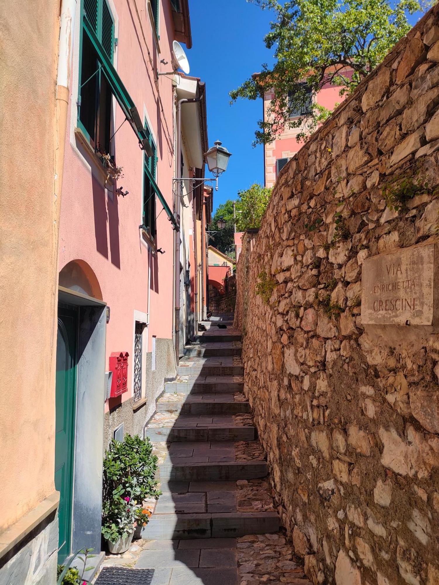 Camera Tra Le Cinque Terre, Camogli E Portofino. Vista Valle E Scorcio Mare All'Orizzonte Castiglione Chiavarese Buitenkant foto