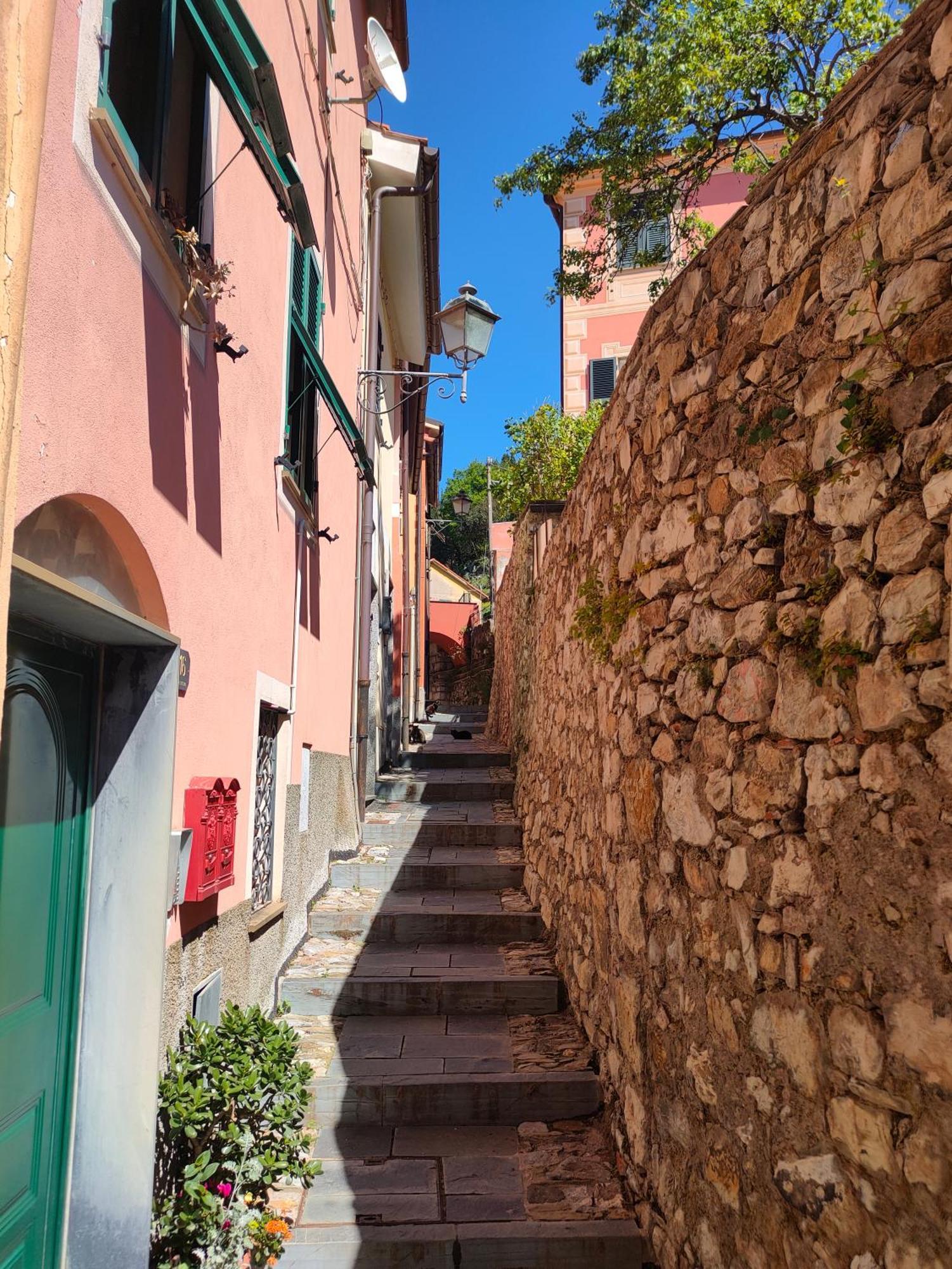Camera Tra Le Cinque Terre, Camogli E Portofino. Vista Valle E Scorcio Mare All'Orizzonte Castiglione Chiavarese Buitenkant foto