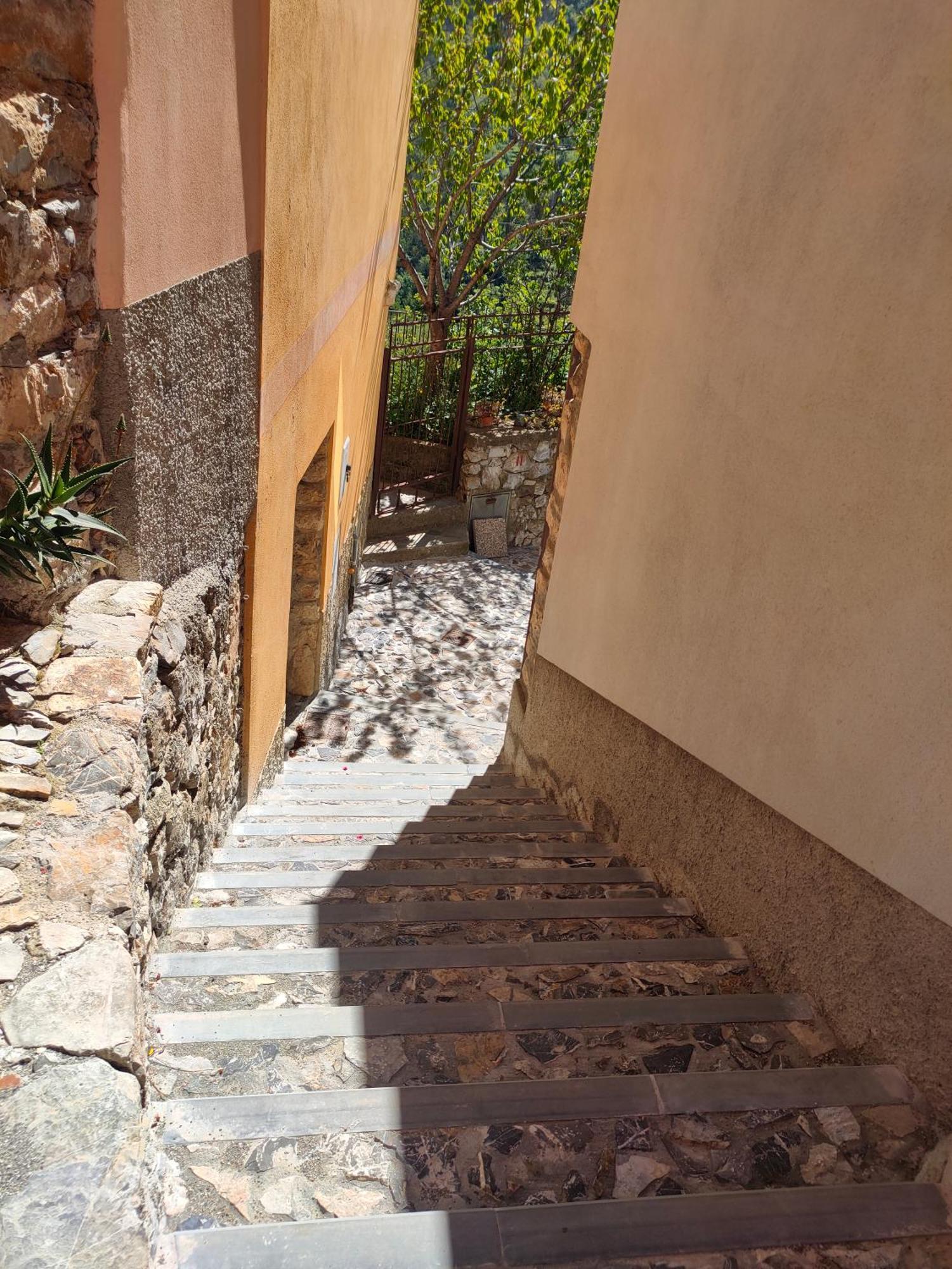Camera Tra Le Cinque Terre, Camogli E Portofino. Vista Valle E Scorcio Mare All'Orizzonte Castiglione Chiavarese Buitenkant foto